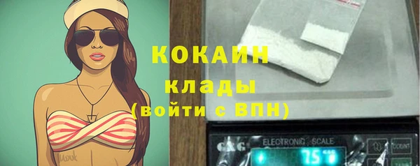 прущие грибы Баксан