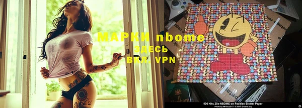 прущие грибы Баксан