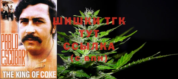 PSILOCYBIN Белоозёрский
