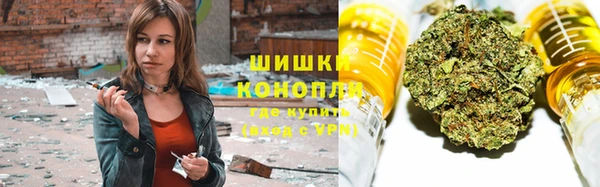 шишки Балабаново