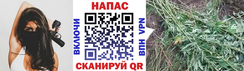 купить наркотики сайты  Отрадное  Шишки марихуана White Widow 